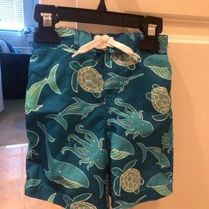 Baby boy swim suit